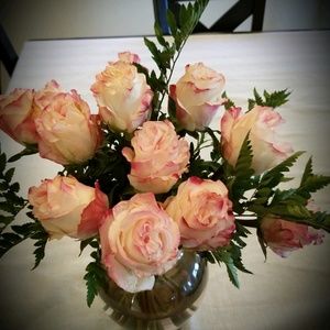 Meet your Posher, Tina